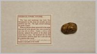 Hieroglyphic Stone.jpg